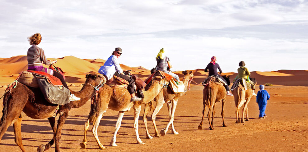 Camel-caravan-going-through-the-sand-dunes-in-the-Sahara-Desert-Morocco-1200×854