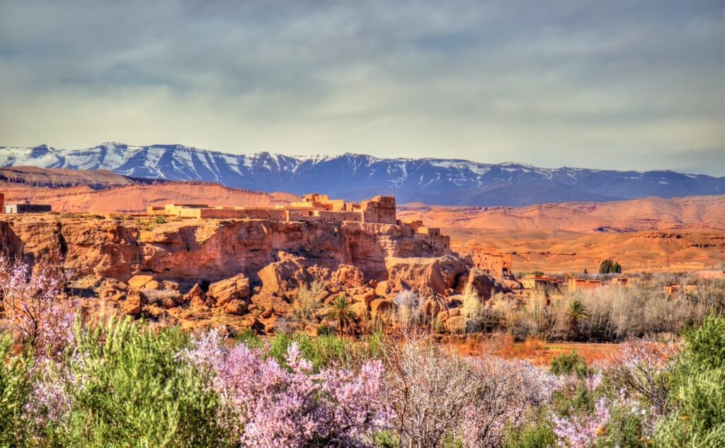 a72a5540-b6f8-4b7d-8021-92c7df412a83-valley-of-the-roses-morocco-2-ss_large